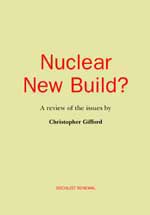 <span style='font-size: 14px;'>Nuclear New Build?</span>